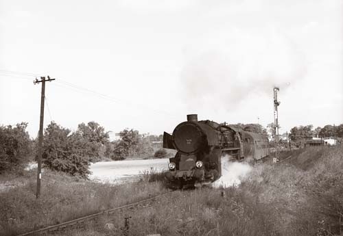 Ty43-115 PKP Ty43-115 PKP