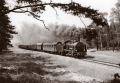 Ok1-316 PKP Ok1-316 PKP